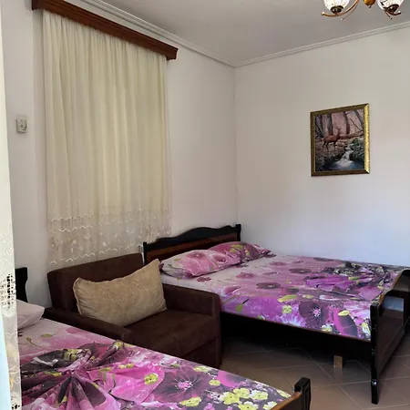 Apartment Garden Veli