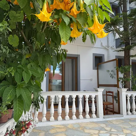 Garden Veli